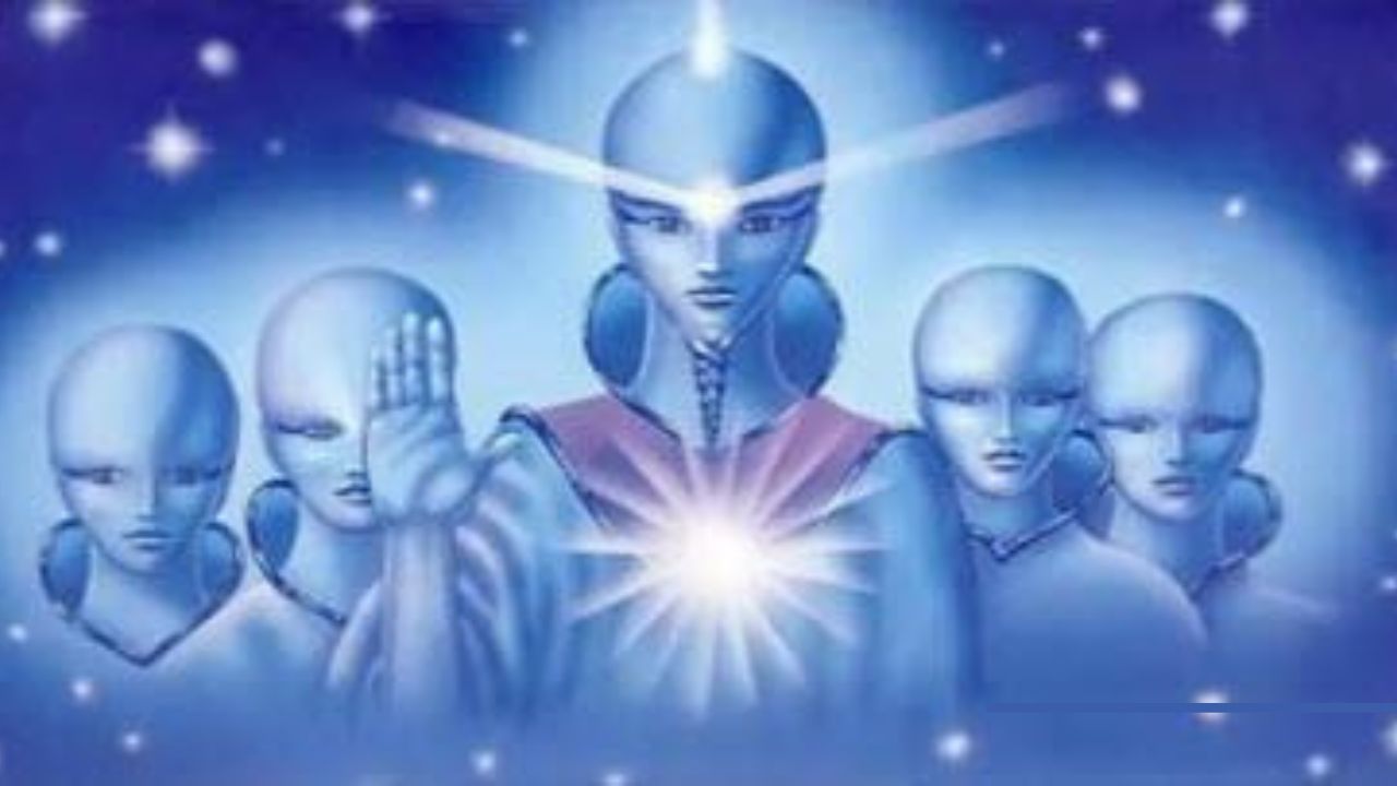 HHNM 2