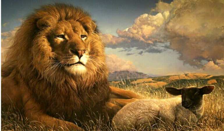 JKLλιοντάρι και αρνί